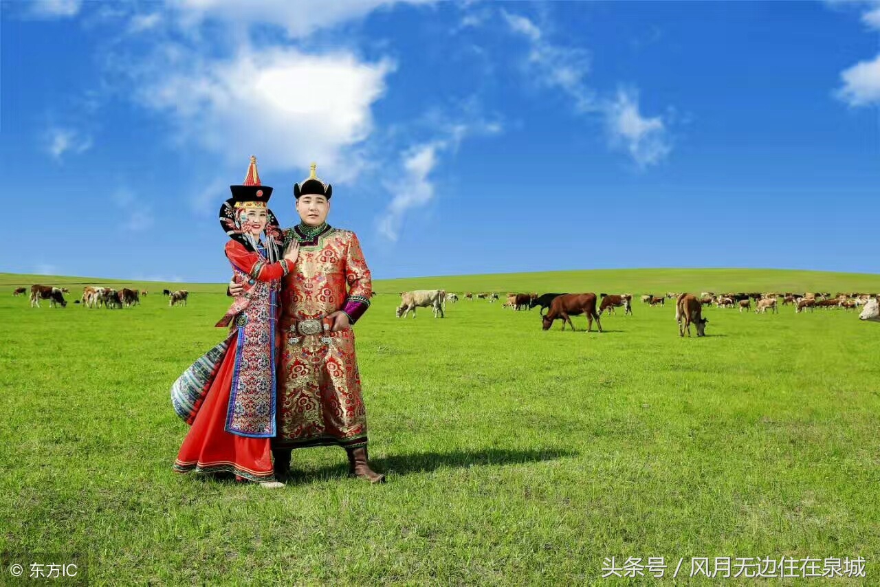 蒙古马和套马图片,蒙古套马绳子教学