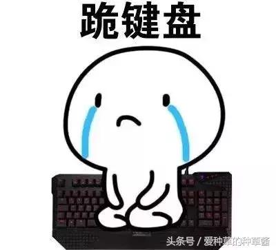 洗面奶到底哪款好用又实惠,哪款洗面奶好用又不贵