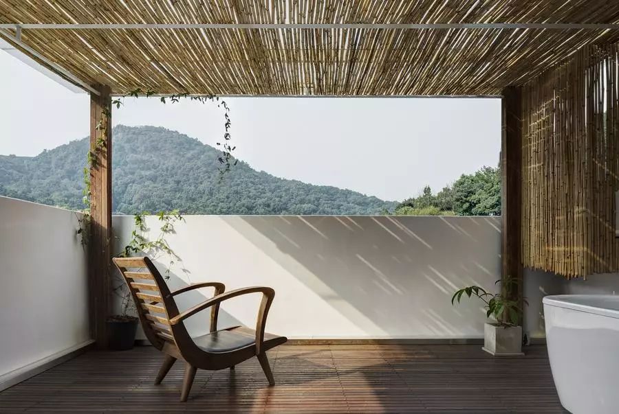 他找来浙大团队,用茶研发洗护用品,成了日本人都在代购的新国货