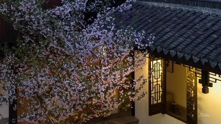 他找来浙大团队,用茶研发洗护用品,成了日本人都在代购的新国货