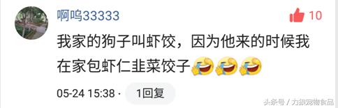 你给宠物起过哪些奇葩的名字？盘点那些让人印象深刻的宠物名字！