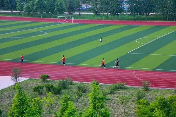 阜阳五中是哪个镇,阜阳五中口碑怎么样