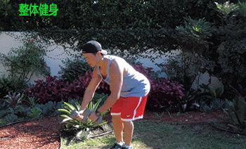 1个哑铃训练动作,瘦子在家哑铃锻炼全身肌肉