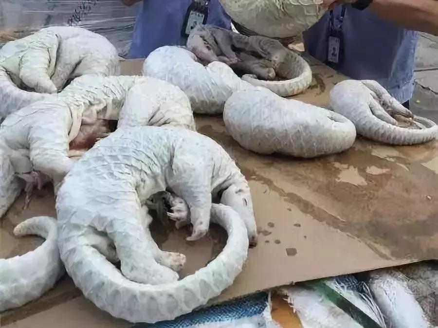 揭露各种海外代购真相,朋友圈代购真实案例