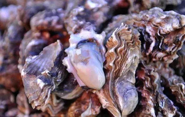 海鲜美食分享吃货日常,美食分享吃海鲜视频