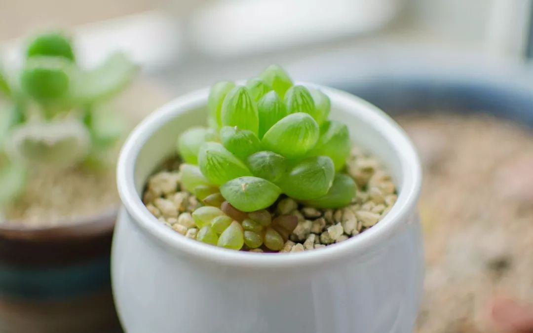 强光拍不出好照片？学会这几点一切皆有可能！