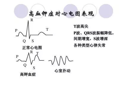 鍋ュ悍闃呰鏂囩珷,鍋ュ悍鏂囩珷鍏ㄦ枃鍏嶈垂闃呰