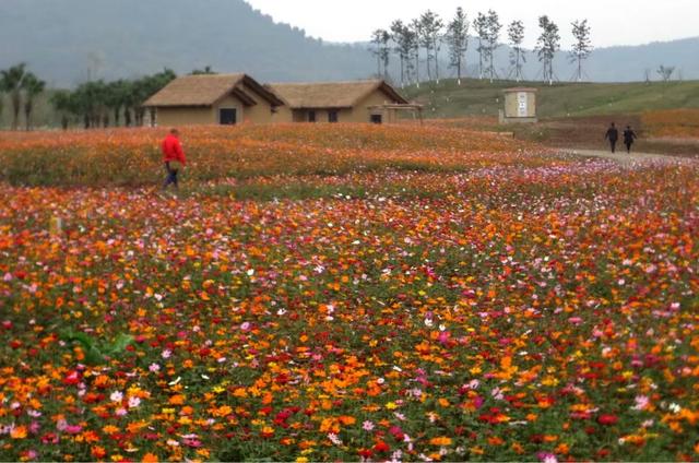 南充至今发生了哪些变化,南充市的变化