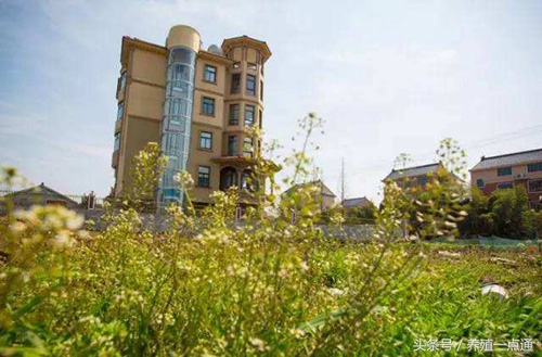 十大最适合农村创业项目,最新适合农村的五个创业项目