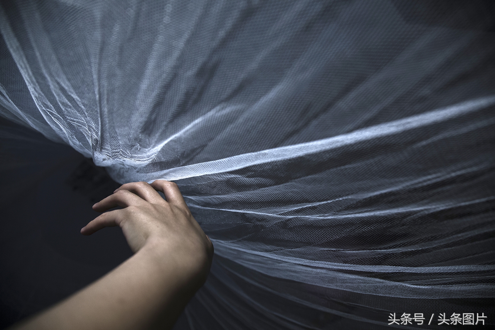 归来的*亡流**:留学法国的温州姑娘拍下了她寻不回的故乡