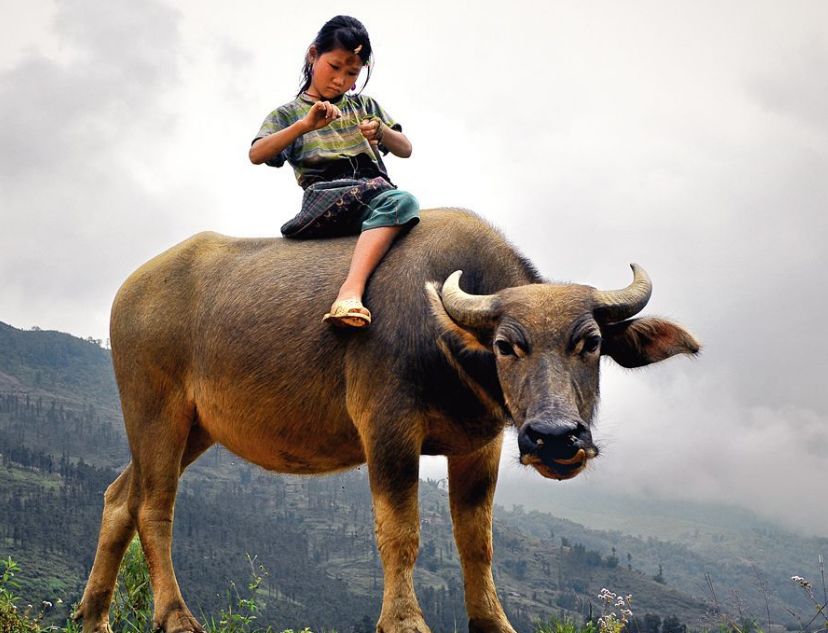 关于游玩的中国古诗词,描写春日儿童游玩的古诗