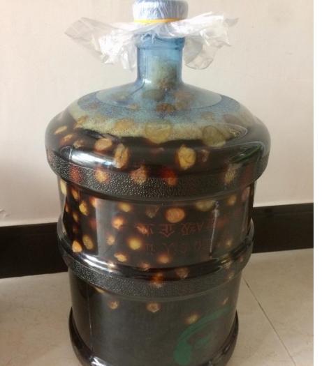 自制梅子酵素清肠排宿便,通便的梅子酵素