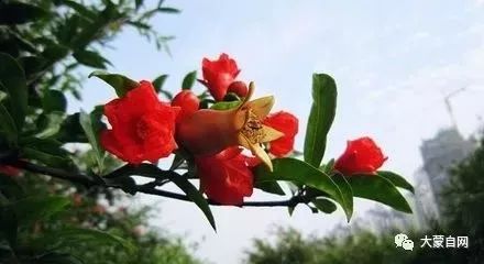 谁说一定要去大城市,有一种生活叫蒙自