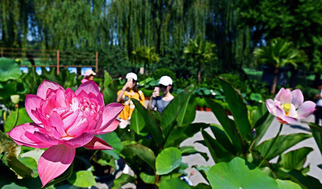 北京考古博物馆颐和园,圆明园面积相当于多少足球场