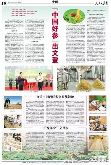 养人参的技术,20年实战养殖技术