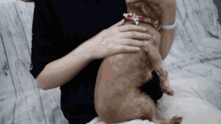 宜家里你不知道的秘密,去宜家的三件事