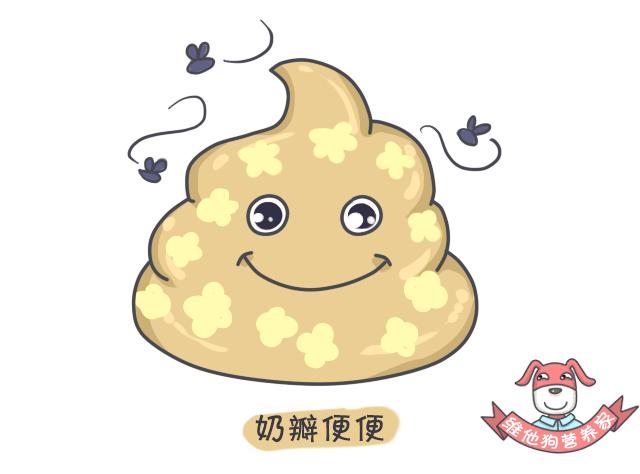 关于便便你不知道的知识,有关便便的知识