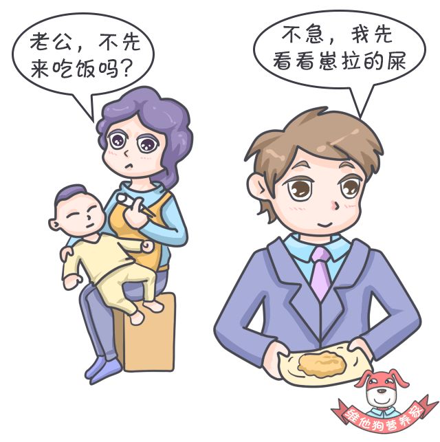 令人困扰的便便儿童科普,关于便便的小知识