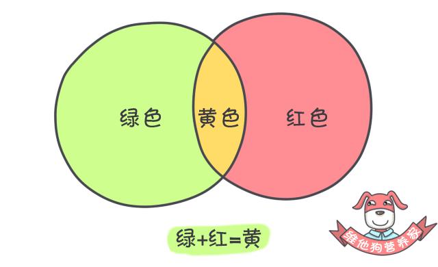 关于便便你不知道的知识,有关便便的知识