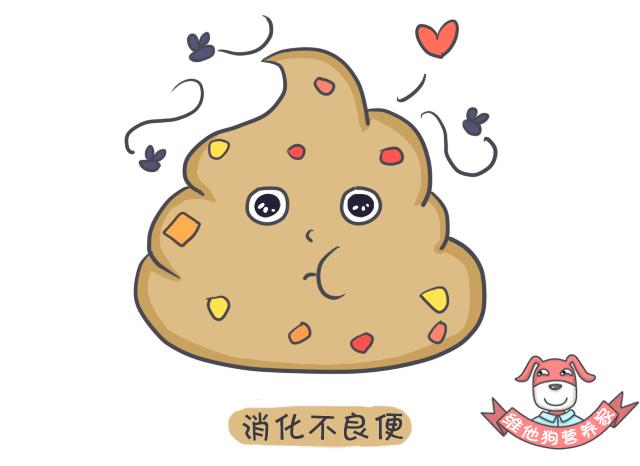 关于便便你不知道的知识,有关便便的知识