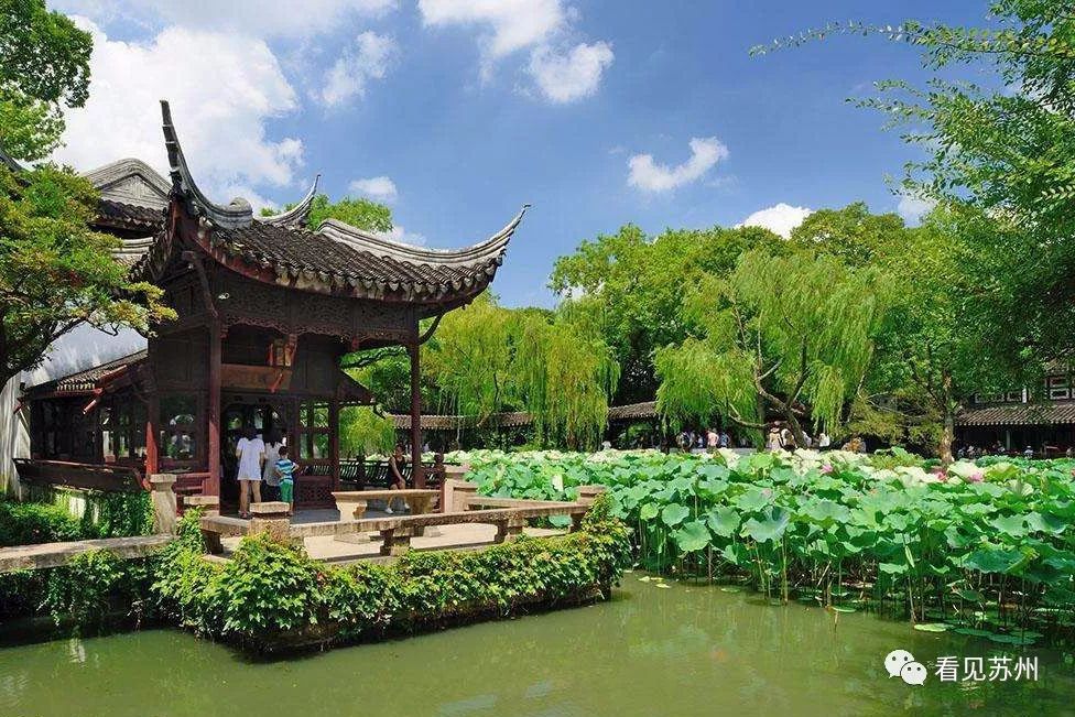 “多重角色”的苏州公园，它究竟承载了谁的意志？！