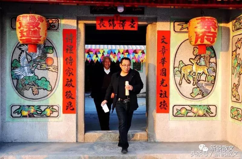 竹叶和竹叶茶是一样的吗,竹叶茶和竹叶的功效谁大