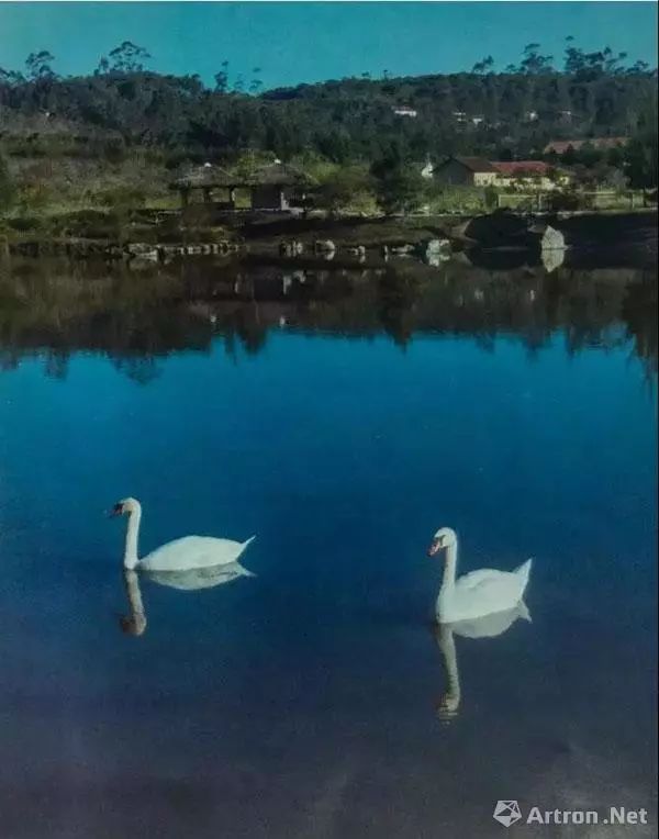 张大千巴西时期拍卖作品,张大千一生赚了多少钱