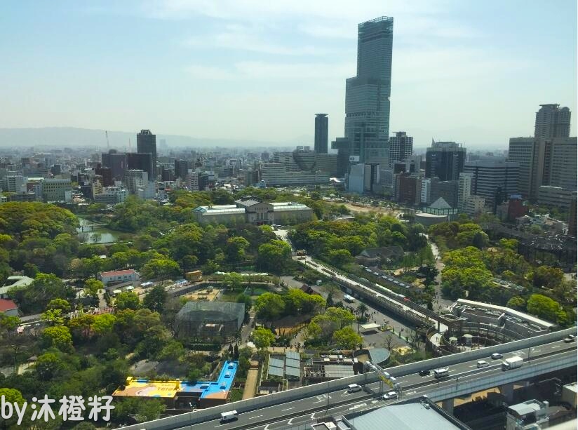 日本一男“玛丽苏”,逆袭入住“假版”黄鹤楼?!