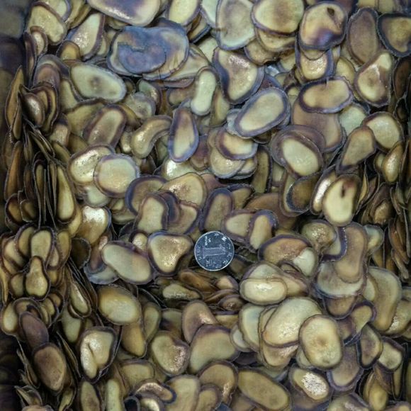 鹿茸蜡片和鲜鹿茸的区别,鹿茸全蜡片和半蜡片的功效区别