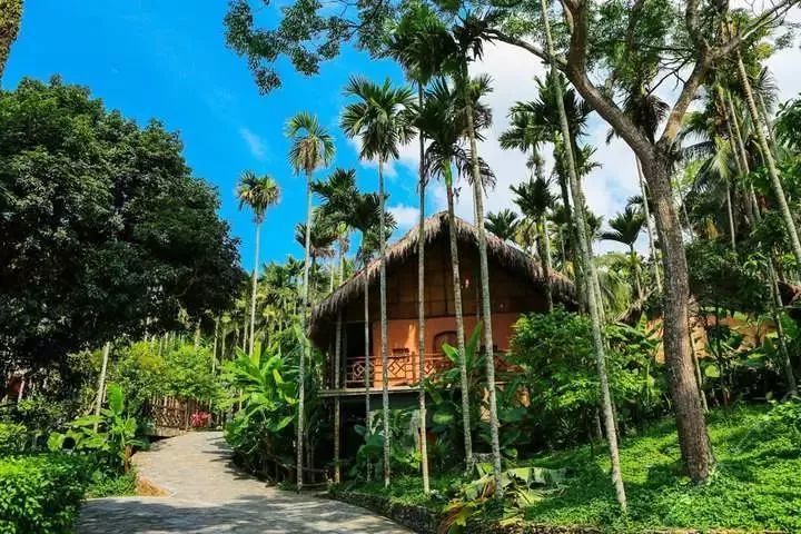 暑期南京飞三亚怎么最便宜,6元秒杀机票