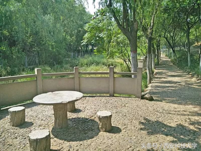 四六级拿满分攻略,裸考四六级高分通过小技巧