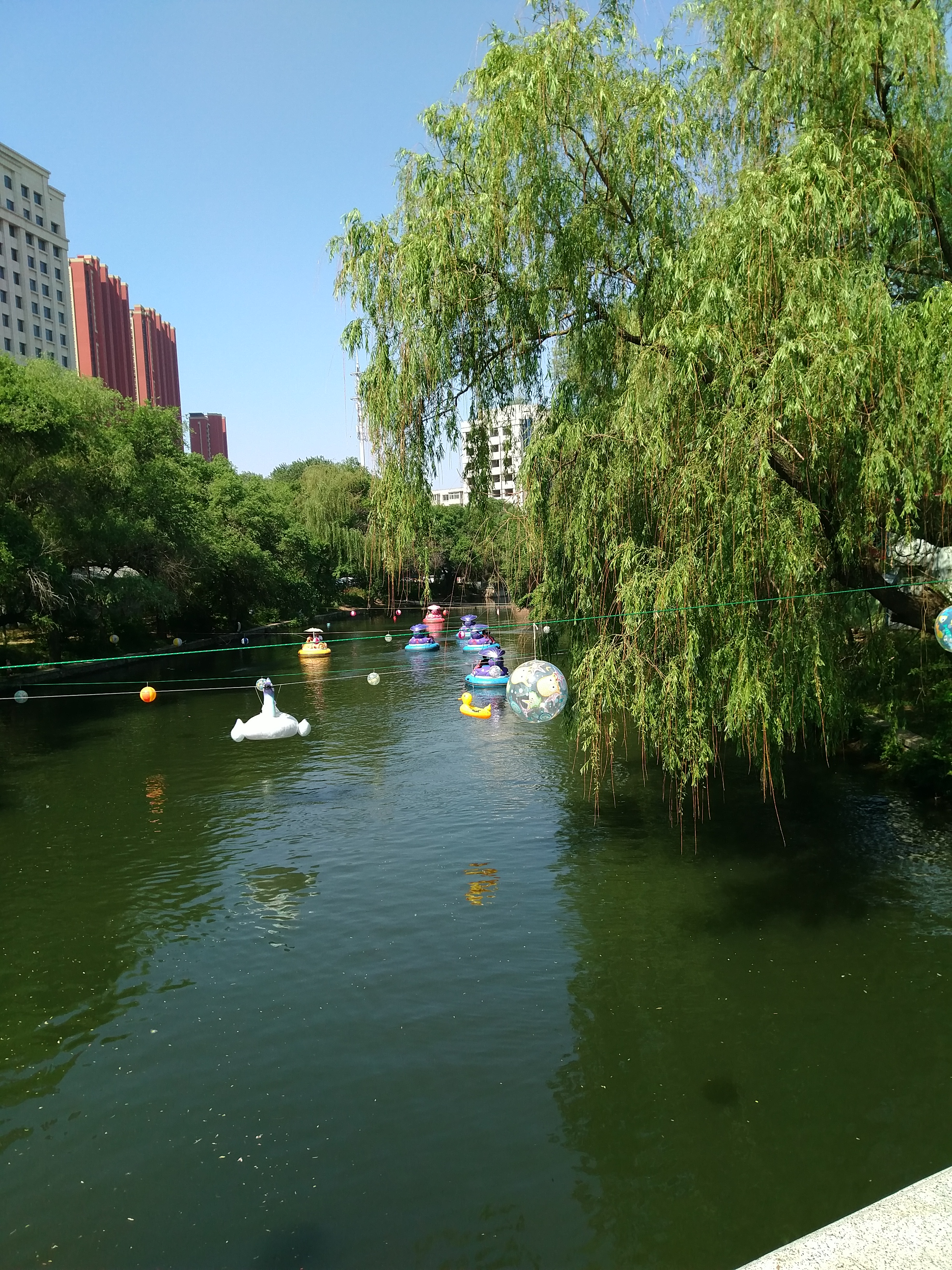 沈阳南湖花卉市场地址,沈阳南湖公园的花卉市场还有吗