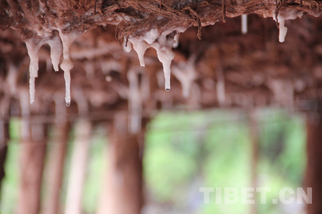 「新时代·藏东明珠」*藏西**千年古盐田边,建起了电商服务站