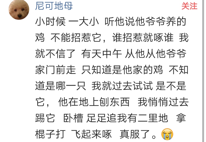 被骂小畜生怎么回怼,被家里人骂畜生