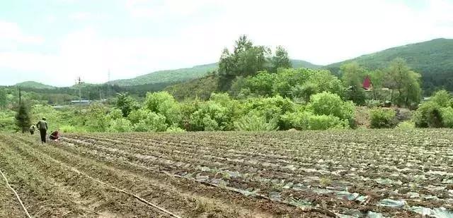 这个季节珲春去哪玩,这个夏天一定要去玩