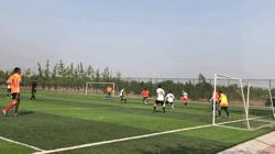 紫禁之巅2020,紫禁之巅199集