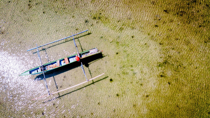 美娜多潜水圣地,印尼美娜多海豚潜水