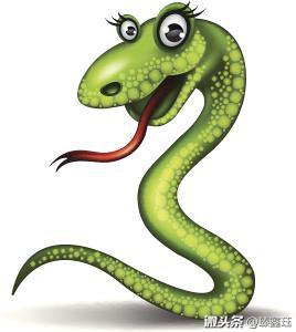 1995年属猪和2001属蛇的婚配,属蛇和属猪的夫妻如何化解