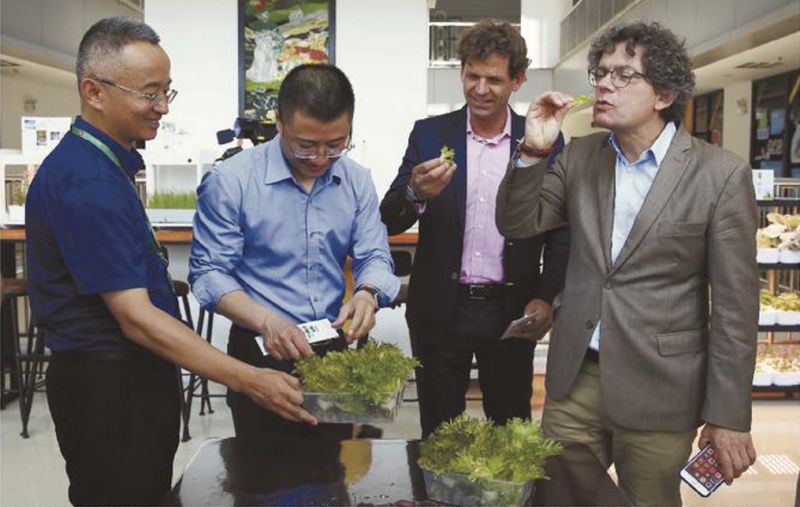 严苛的德国人也点赞东莞：绿水青山美如画，自动化工厂真先进！