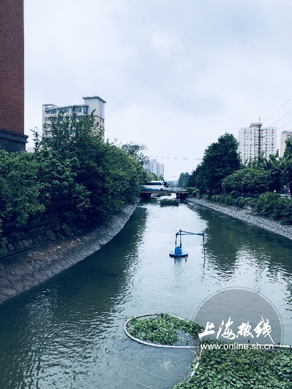 绿树成荫景色宜人清新空气,绿树成荫环境优美空气清新