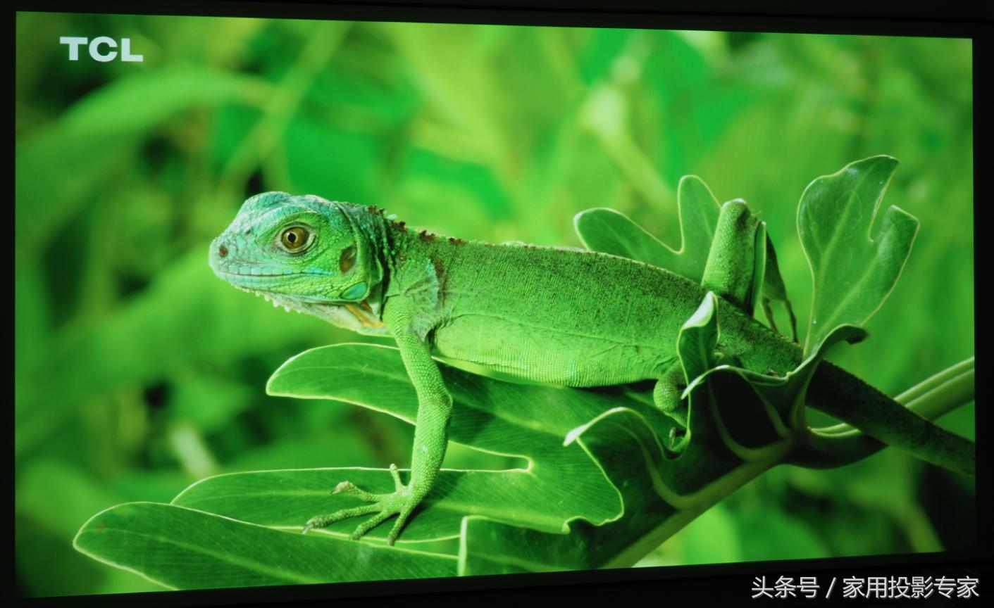 明基2k旗舰投影机,千元投影对比明基