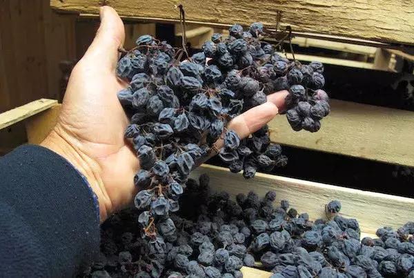 意大利阿玛罗尼红酒2010价格,阿玛罗尼酒评