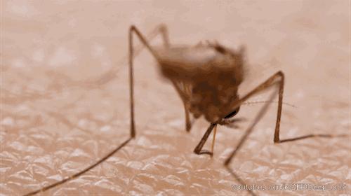 家里有孩子的要注意什么新型病毒,小朋友有必要了解病毒么