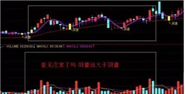 中国股市散户怎么自救,中国股市为什么一败涂地