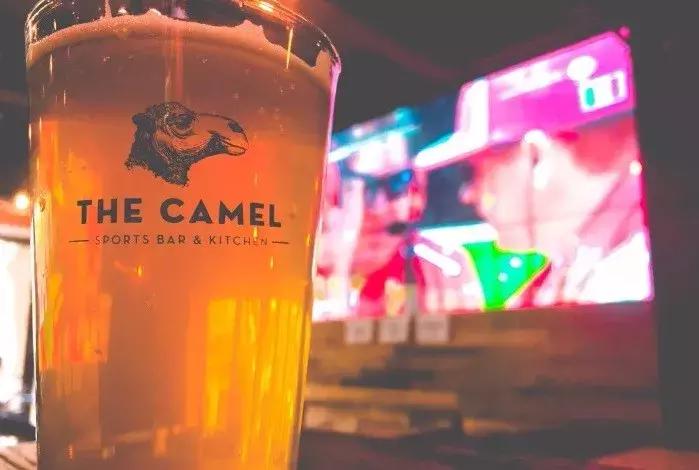 世界杯观球指南,第三部世界杯观球指南