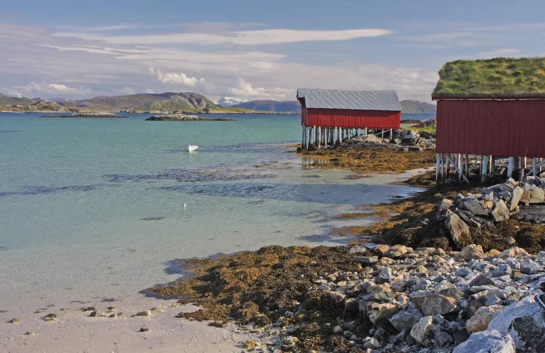 挪威的一个小岛夏天,挪威最美渔村北极圈里的秘境岛屿