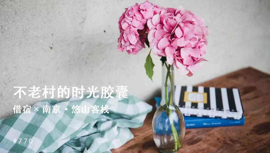 南京不老村，这个画得了插画、种得了花的萌大叔，亲自打造一个家