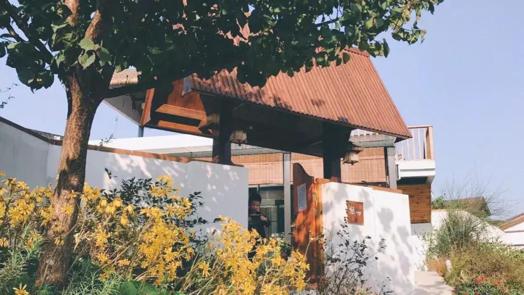 南京不老村，这个画得了插画、种得了花的萌大叔，亲自打造一个家