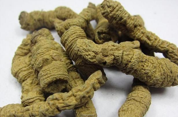 十大最经典的补肾中药,十大最好的补肾中药