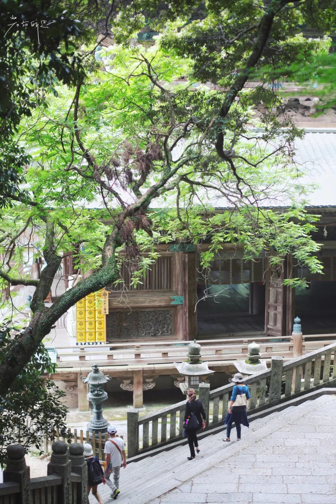 日本的哪个地方中国人不能去,日本什么地方很多中国人